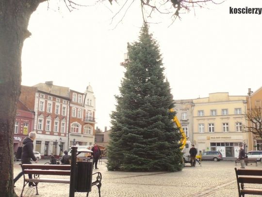 Kościerzyna. Będzie choinka i szopka na rynku