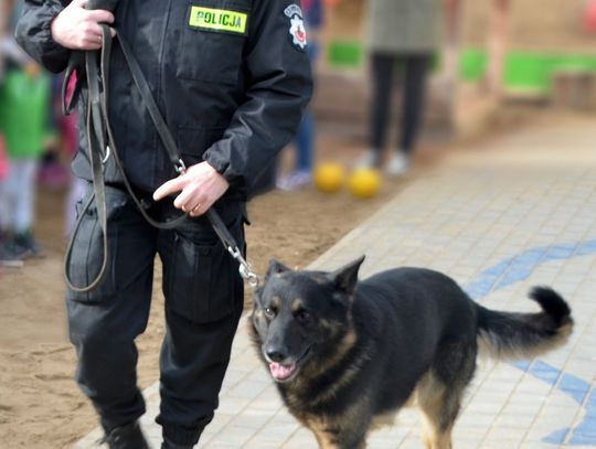 Lubań. Pies policyjny odnalazł zaginioną 19-latkę