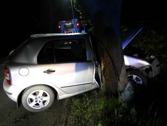 Nietrzeźwy kierowca uderzył w drzewo w Zamku Kiszewskim