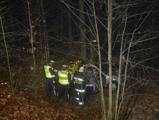 Nowa Karczma - Skrzydłowo. Pijana 19-latka wjechała w drzewo. Pasażer zginął na miejscu