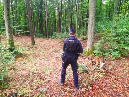 Policjanci odnaleźli zaginioną 53-latkę w Borach Tucholskich