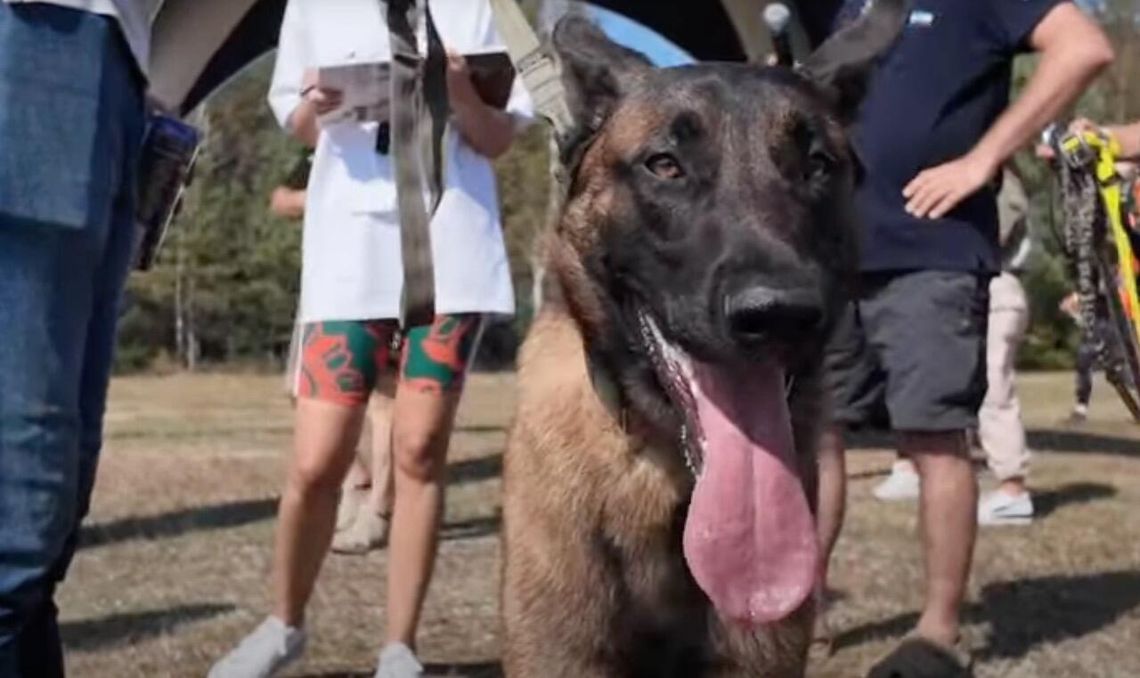 Bieg z psami służbowymi wraca do Wdzydz! DOGMAGEDON K9 już we wrześniu