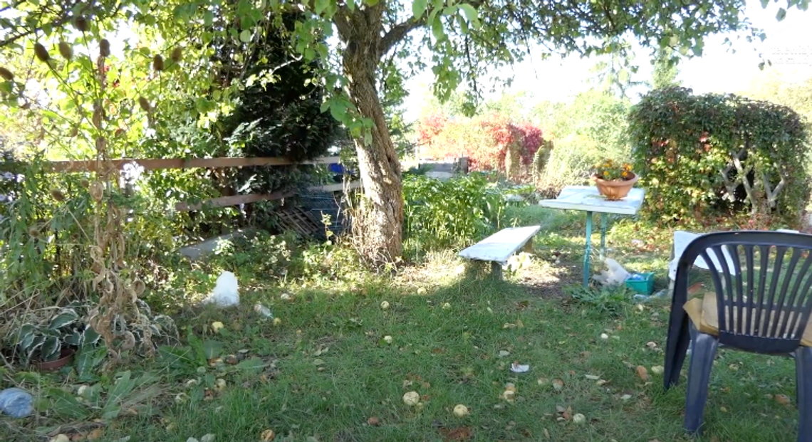 Działkowcy z osiedla 1000-lecia zapowiadają protest Działkowcy z osiedla 1000-lecia zapowiadają protest