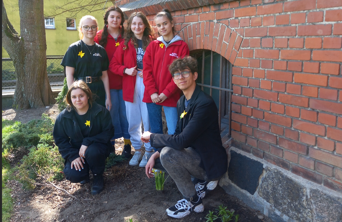 Ekonomik w akcji "Żonkile"