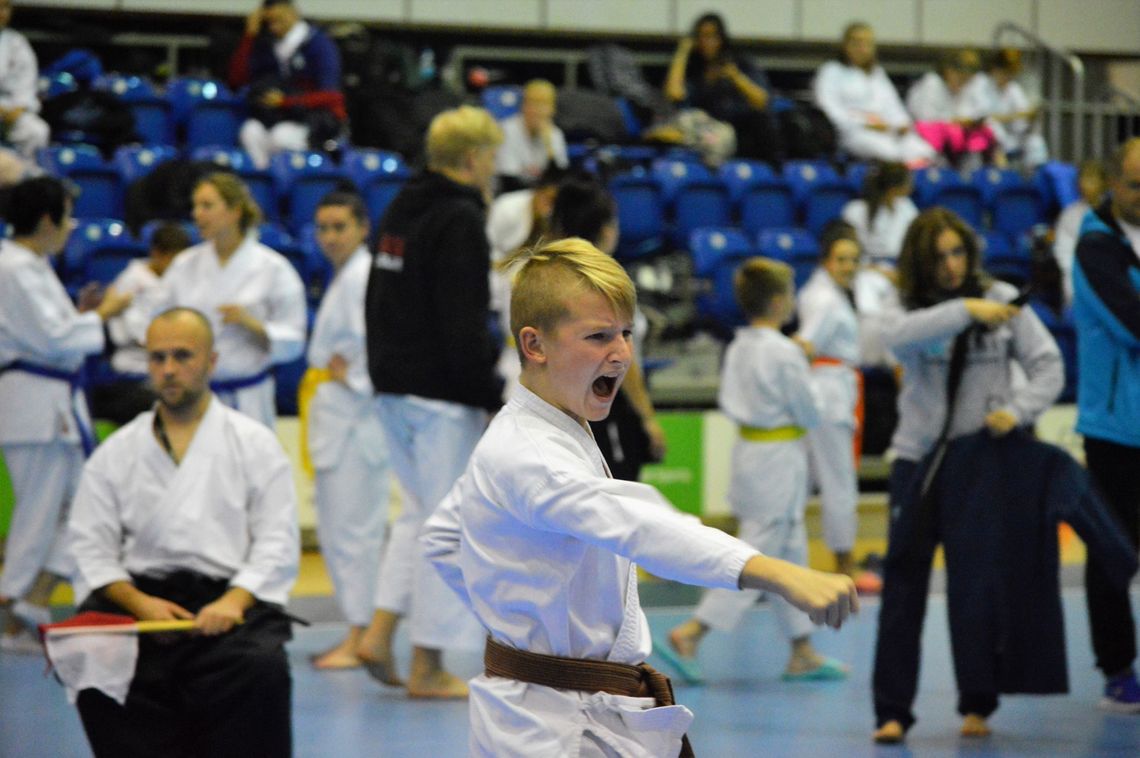 Karate tradycyjne. IX Ogólnopolski Puchar Pomorza i 12 medali dla kościerskich karateków