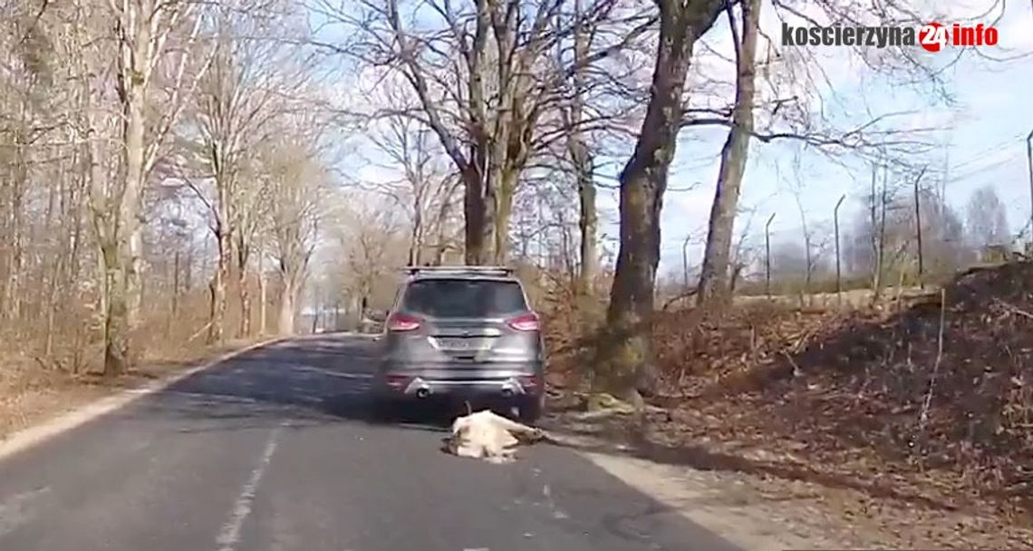 Kolejna rozprawa byłego senatora PiS