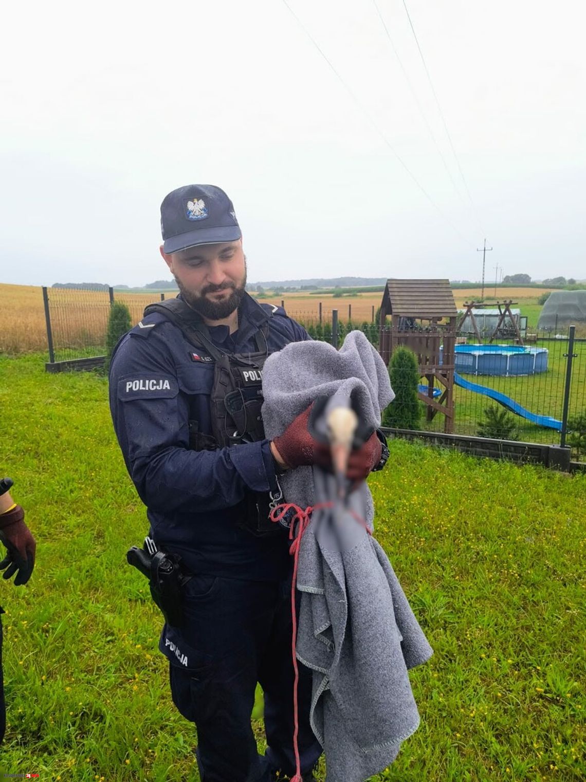 Kościerscy policjanci uratowali rannego bociana po zderzeniu z linią energetyczną