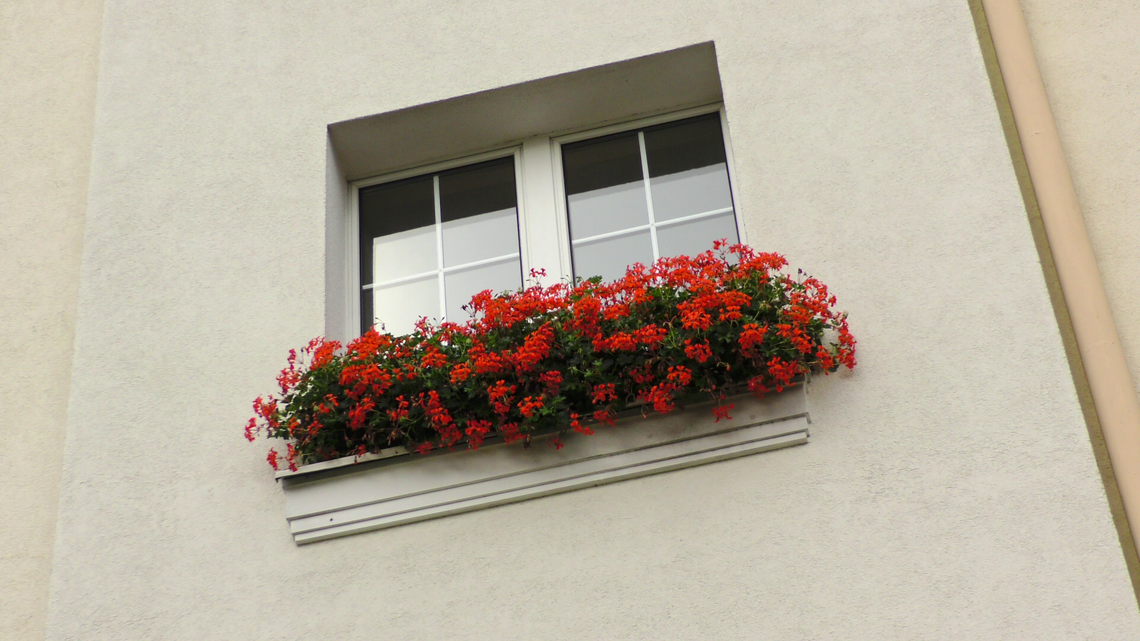 Kościerzyna.Zielony Konkurs KTBS.