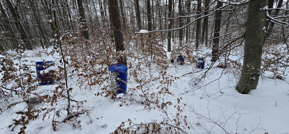 Niebezpieczne znalezisko w Szarlocie