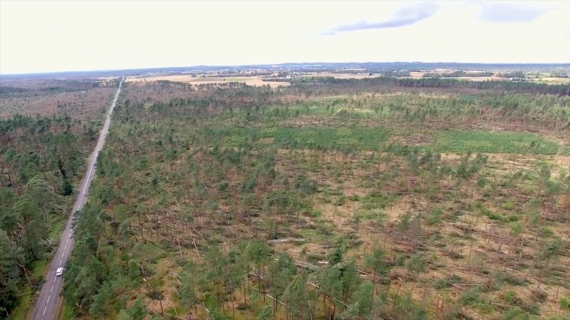 Odszkodowania dla właścicieli lasów zniszczonych w nawałnicy 