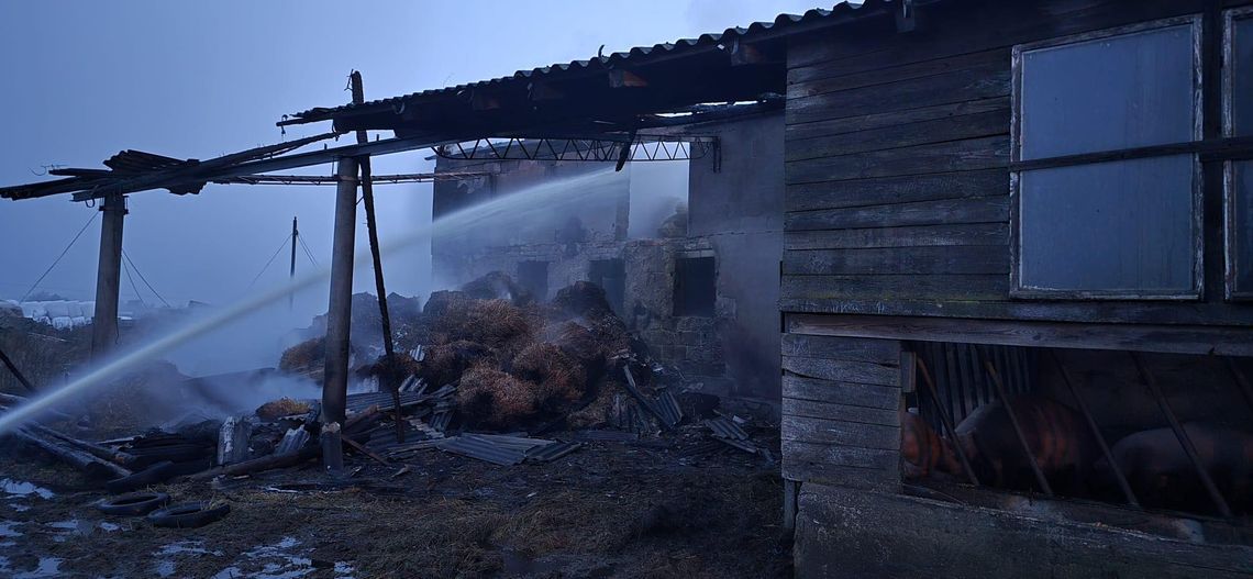 Pożar chlewni w Karsinie. Straty sięgają 2 milionów złotych