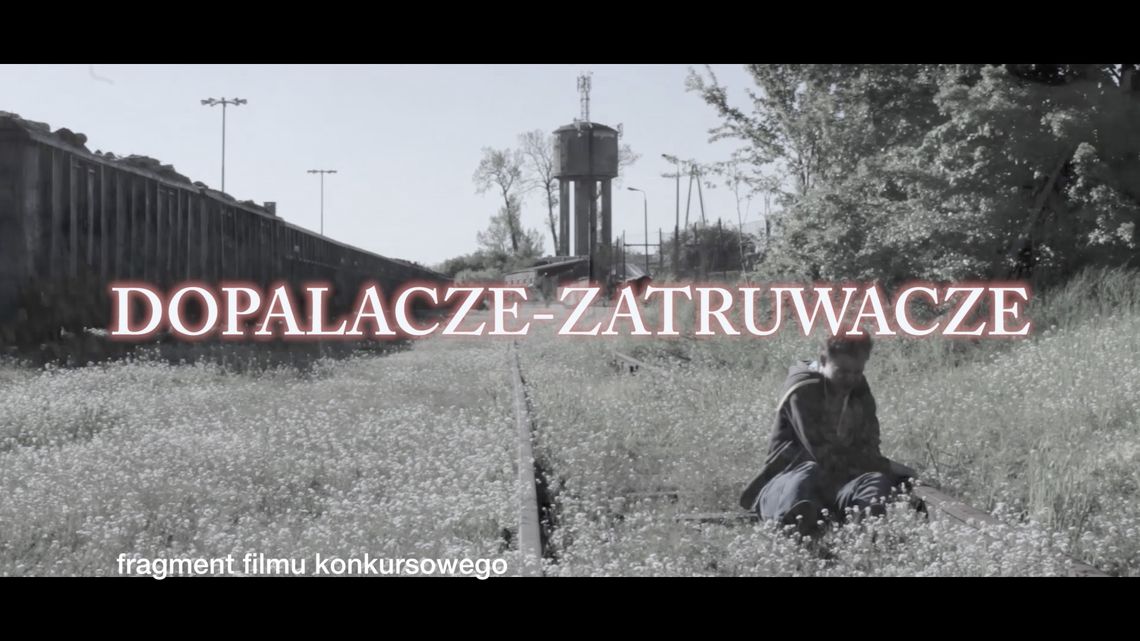 Stworzyli film o szkodliwości dopalaczy Stworzyli film o szkodliwości dopalaczy
