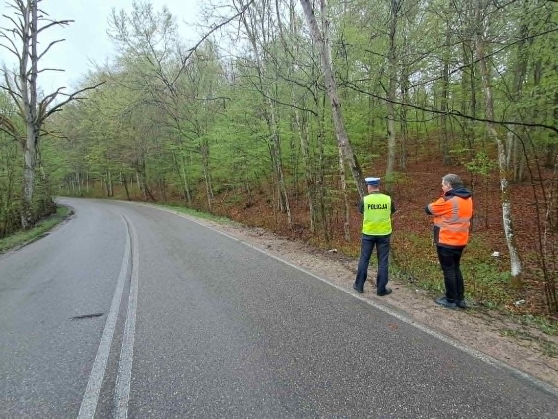 Tragedia w Grabowie. Policja wraca na miejsce wypadku