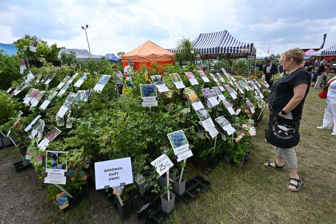 XXXII Pomorskie Agro Targi Lubań 2025: największe wydarzenie rolnicze na Pomorzu już 7-8 czerwca