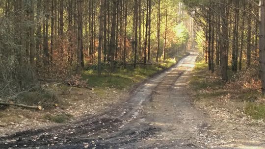 Czytelnik alarmuje: zdewastowana trasa pieszo-rowerowa z Kościerzyny do Garczyna