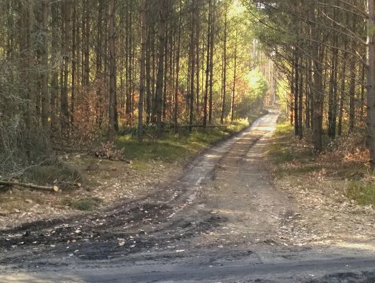 Czytelnik alarmuje: zdewastowana trasa pieszo-rowerowa z Kościerzyny do Garczyna